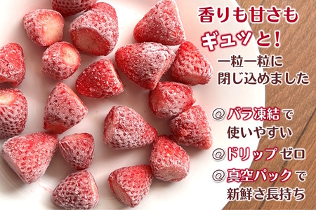 冷凍いちご 1kg バラ凍結 真空パック 栽培期間中農薬不使用 ヘタ取り済み 低温急速冷凍 いちご本来の甘さと香り フローズンストロベリー