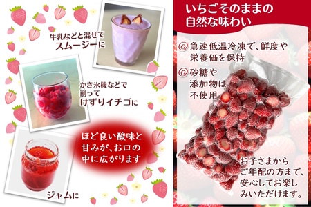 冷凍いちご 1kg バラ凍結 真空パック 栽培期間中農薬不使用 ヘタ取り済み 低温急速冷凍 いちご本来の甘さと香り フローズンストロベリー