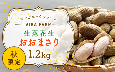 【新豆】農家直送！千葉県産「生落花生」おおまさり1.2kg オーガニックファーム AIBA FARM 生落花生 生らっかせい 生ピーナッツ 落花生 らっかせい 千葉県 富里市 皮付き 殻付き ピーナッツ ぴーなつ 南京豆 TML005