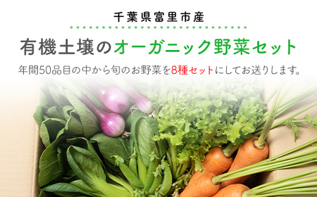 有機土壌で作る旬のオーガニック野菜セット(8品)TMT001