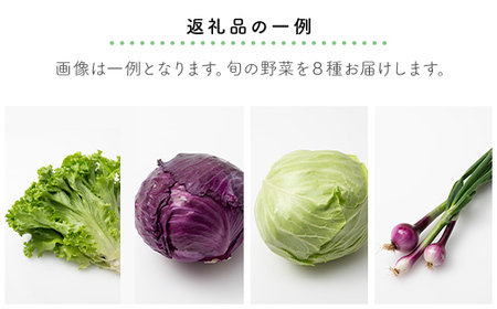 有機土壌で作る旬のオーガニック野菜セット(8品)TMT001