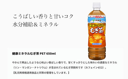 【12か月定期便】伊藤園 健康ミネラルむぎ茶 1ケース(650ml×24本) 定期便 麦茶 伊藤園 ペットボトル お茶 650ml 茶 お茶 おすすめ 常温 常温保存 TMP012