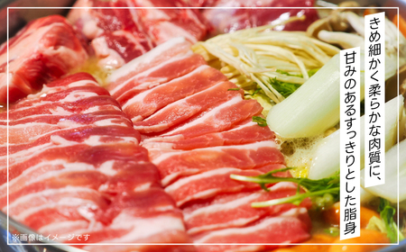 房総ポークしゃぶしゃぶセット１㎏（ロース、バラ） TMF002 / にく ニク 肉  豚肉 ロース 豚ロース ばら肉 バラ肉 豚バラ １kg しゃぶしゃぶ しゃぶしゃぶセット 豚しゃぶ 豚しゃぶセット 千葉県 富里市 精肉   房総 ポーク 産地直送 千葉産 千葉県産