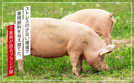 房総ポークしゃぶしゃぶセット１㎏（ロース、バラ） TMF002 / にく ニク 肉  豚肉 ロース 豚ロース ばら肉 バラ肉 豚バラ １kg しゃぶしゃぶ しゃぶしゃぶセット 豚しゃぶ 豚しゃぶセット 千葉県 富里市 精肉   房総 ポーク 産地直送 千葉産 千葉県産