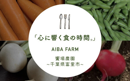 【先行予約・新豆 】【栽培期間中農薬不使用】千葉県産 大粒 農家直送！「生落花生」おおまさり３kg　【 ふるさと納税 人気 おすすめ ランキング 皮付き 殻付き ピーナッツ ピーナツ 落花生 千葉県 富里市 送料無料 】TML010