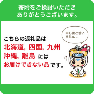 【数量限定・先行受付】生産者直送　ジューシー袋詰めびわ（訳あり混合サイズ12～15個） mi0057-0001