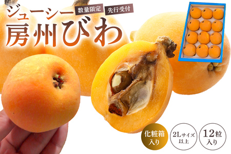 【先行受付 2026年5月中旬~6月中旬発送予定】【数量限定】生産者直送 ジューシー房州びわ(2Lサイズ以上)化粧箱入り mi0057-0002