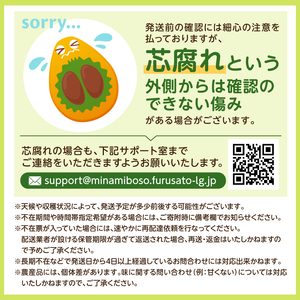 【先行受付 2026年5月中旬~6月中旬発送予定】【数量限定】生産者直送 ジューシー房州びわ(2Lサイズ以上)化粧箱入り mi0057-0002