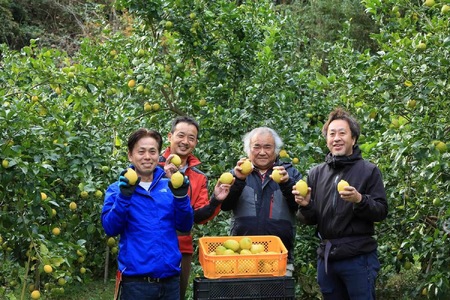 びわ農家が栽培した「南房総レモン」3kg ちばｴｺ農産物 ﾕｰﾚｶ 調味料 果物 ﾌﾙｰﾂ ｸﾞﾘｰﾝﾚﾓﾝ ｲｴﾛｰﾚﾓﾝ 柑橘 mi0090-0001