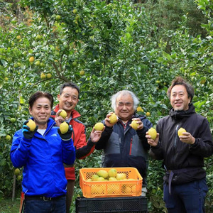 【TVで紹介!】びわ農家が栽培した「南房総レモン」3kg mi0090-0001