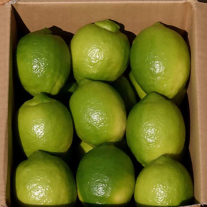 【TVで紹介!】びわ農家が栽培した「南房総レモン」3kg mi0090-0001