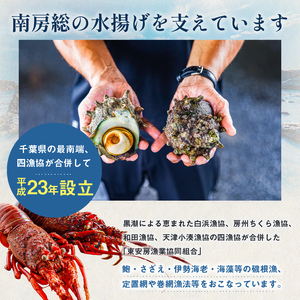 房州産ひじき800g（80g×10袋） mi0014-0026 ひじき 乾燥 海藻 海産物 煮物 ｻﾗﾀﾞ