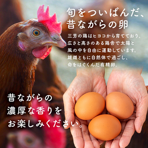 5月発送 有精卵　10個×3パック（割れ保証3個含む）農薬・化学肥料を持たない農家の野菜で育てた平飼い鶏 mi0036-0001-05