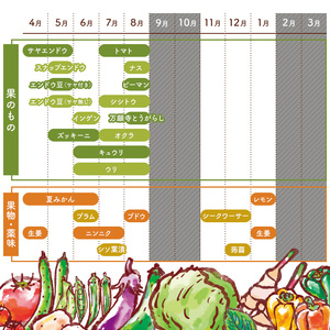 11月発送　農薬・化学肥料を持たない農家の野菜（7～10種類）と 平飼有精卵のセット mi0036-0017-11