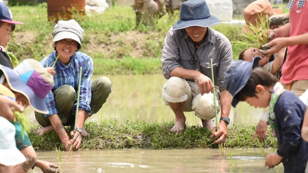 玄米ぽんせん(薄切り・塩味)30g入り5袋セット mi0100-0001-4