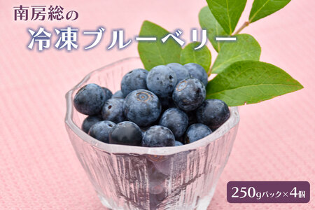 【先行受付 2026年8月中旬～12月20日発送予定】南房総の冷凍ブルーベリー 250g×4パック mi0026-0002