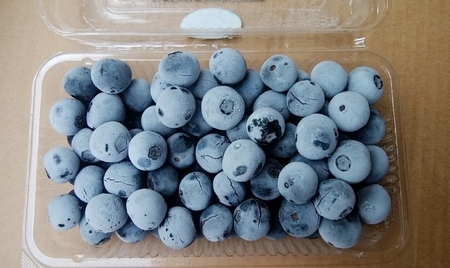 【先行受付 2026年8月中旬～12月20日発送予定】南房総の冷凍ブルーベリー 250g×4パック mi0026-0002