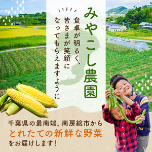 【翌日配送】【先行受付 2025年6月20日～8月上旬発送予定】早朝収穫！とうもろこし10～12本（味甘ちゃん・みかんちゃん）【本州限定のお届け】 mi0046-0008 新鮮 旬野菜 ﾄｳﾓﾛｺｼ みかんちゃん