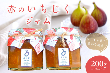 赤のいちじくジャム200g 2瓶入り mi0101-0003 果物 調味料 ジャム 瓶 皮ごと レモン 天日塩 トースト ヨーグルト ドレッシング