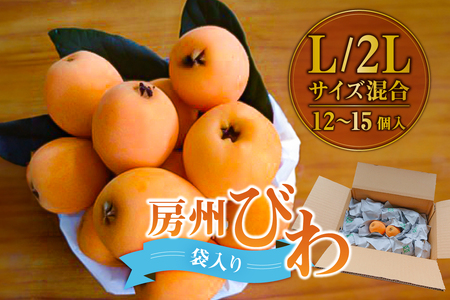 【先行受付 2026年5月中旬～6月下旬発送予定】房州びわ Ｌ･2Ｌサイズ混合袋びわ（袋入） mi0114-0002