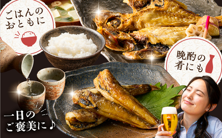 干物4種詰め合わせセット mi0098-0006 干物 一夜干し ｱｼﾞ あじ ﾌﾞﾘ ぶり ﾒﾋｶﾘ めひかり 金目鯛 高級魚 切身 手軽 簡単 時短 魚 おかず お弁当 つまみ ｾｯﾄ