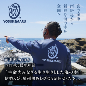 【先行受付 2026年5月~9月初旬発送予定】【数量限定】房州黒あわび 1kg(4~5枚) mi0020-0010