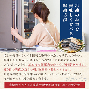 【訳あり】骨取り塩さば　フィーレ2kg（1kg×2袋） mi0012-0156