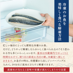 【訳あり】骨取り無塩さば　切り身500g（500g×1袋） mi0012-0160