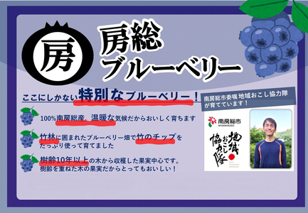 【南房総産・特別なブルーベリー】竹チップで育てた、冷凍ブルーベリー 1kg mi0089-0001 果物 ﾌﾙｰﾂ ﾌﾞﾙｰﾍﾞﾘｰ 冷凍 竹ﾁｯﾌﾟ ｱﾚﾝｼﾞ ﾖｰｸﾞﾙﾄ ｼﾞｬﾑ ｿｰｽ