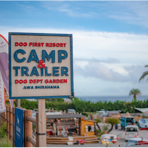 DOG DEPT RESORT 安房白浜/館山犬石 共通チケット 宿泊クーポン券（6,000円分） mi0111-0001-1 犬と宿泊 愛犬 わんこ 愛犬旅行 ﾍﾟｯﾄ専用 ﾍﾟｯﾄ BBQ 旅行 ﾁｹｯﾄ 宿泊 宿泊券 旅行券 ﾎﾃﾙ 千葉 南房総市 