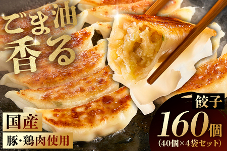 餃子 40個×4袋セット mi0115-0001 餃子 中華 国産 豚肉 鶏肉 焼き餃子 揚げ餃子 水餃子 セット ランチ ディナー