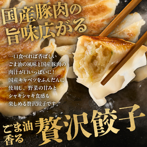 餃子　40個×2袋セット mi0115-0002 餃子