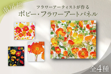 南房総ポピー・フラワーアートパネル mi0122-0001