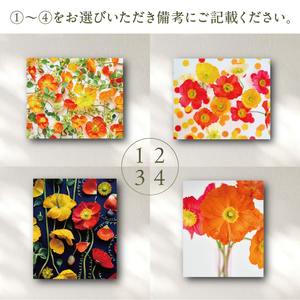 南房総ポピー・フラワーアートパネル mi0122-0001