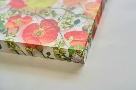 南房総ポピー・フラワーアートパネル mi0122-0001