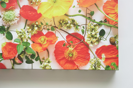 南房総ポピー・フラワーアートパネル mi0122-0001