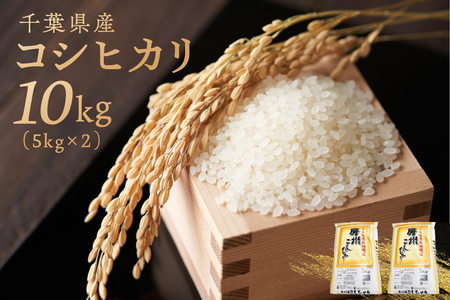 千葉県産コシヒカリ 10kg(5kg×2袋) mi0121-0001 米