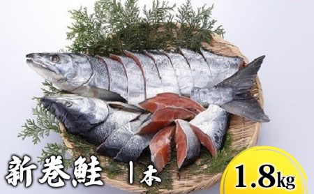 【約1.5kg】北海道産新巻鮭1本