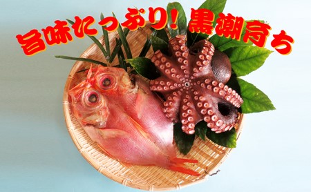 旨味たっぷり 黒潮育ち 南房総産 ボイル済地たこ 天日干し金目鯛干物 千葉県南房総市 ポイント制ふるさと納税 ふるなびカタログ