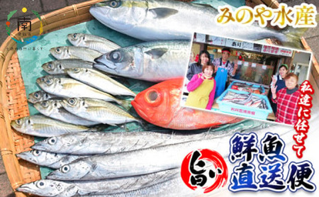 私達に任せてみませんか 南房総の旨い鮮魚直送便
