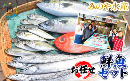 急速冷凍・内臓処理済み お任せ鮮魚セット