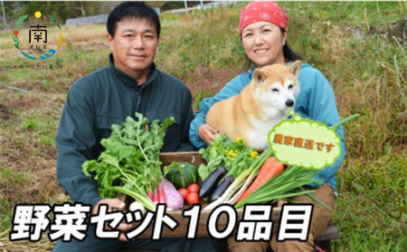 『農家直送!南房総の豊かな土壌で育った野菜セット(6~9品目)』