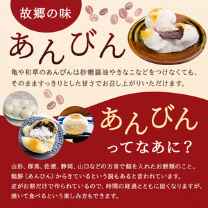 杵つき餅と自慢のあんこの｢あんびん（こし餡）｣10個 mi0002-0013