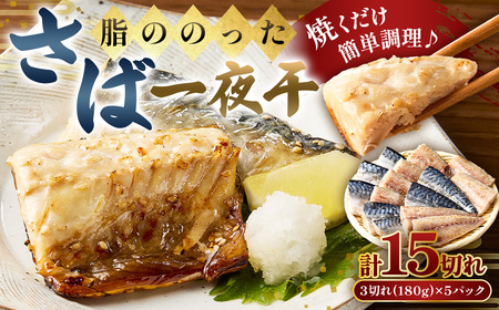 脂ののったさば一夜干　3切れ180g×5パック mi0050-0003