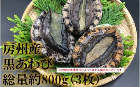 【先行受付2021年5月よりお届け】漁協からの贈り物(房州産天然黒あわび 約800g)