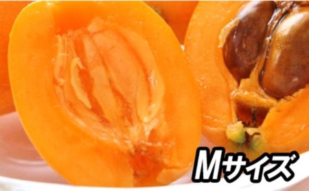 『房州枇杷(ビワ) Mサイズ12粒入』完熟枇杷を農家から直送!6月発送