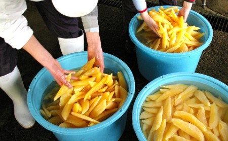 味付け数の子 中サイズ昆布だし醤油 1本羽 アメリカ産 400g 0g 2 千葉県南房総市 ふるさと納税サイト ふるなび