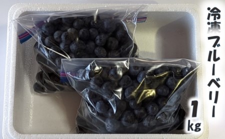 有機JAS 冷凍ブルーベリー 1kg
