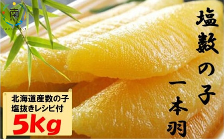 数の子ジャンボ(北海道産) 1本羽 5kg 小分け(500g×10袋)