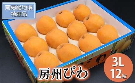 【5月下旬よりお届け】房州びわ3Lサイズ×12粒(化粧箱入り)